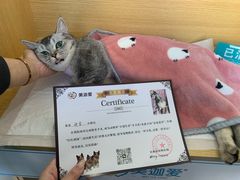 -美迦爱-牙专科·兔科·骨科诊疗中心(北苑店)