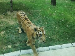 -北京野生动物园