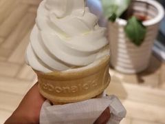 -麦当劳(塔园路店)