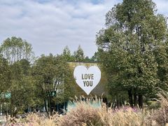 -铁山坪森林公园