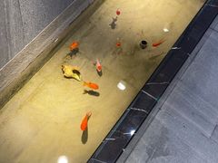 -邵汇大虾火锅(鲁迅路店)