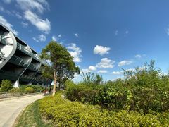 -上海滴水湖皇冠假日酒店