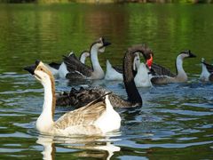 -南京银杏湖乐园