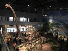 -自贡恐龙博物馆