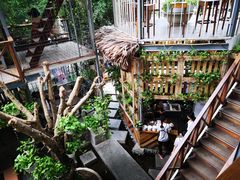 -Rainforest