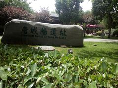 -唐城墙遗址公园