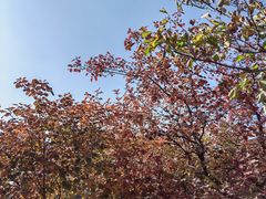 -周口店坡峰岭风景区