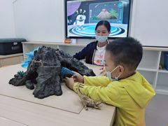 -斯坦星球青少儿编程机器人科学乐高思维专注力科创竞赛规划(武汉凯德西城学习中心)