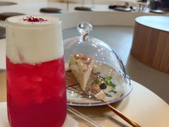 -飞行喵MR PILOT|猫舍·猫咖(静安大融城店)