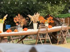 -HERRE·FARM 赫尔露营农场·团建聚会包场