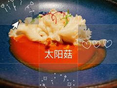 -觀芷隐轩