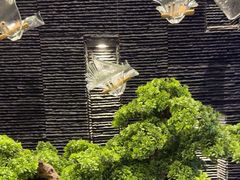 -上足·影院足道·SPA(红岭店)