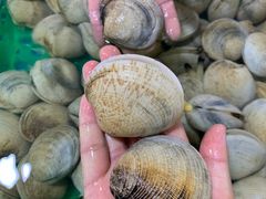 -三亚新鸿港水果一级批发市场