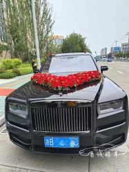 -宁波甬诚婚车(新典路店)
