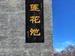 -莲花池公园