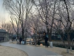 -春风习习