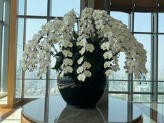 -视界美食自助餐厅·石家庄希尔顿酒店