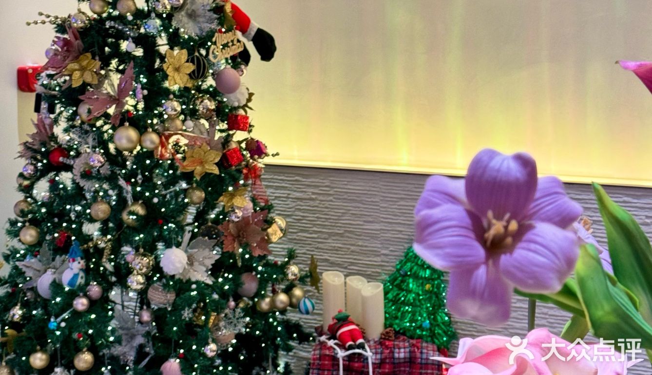 🎄圣诞美人们集合！玥Yue小子你是真会呀