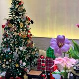 🎄圣诞美人们集合！玥Yue小子你是真会呀