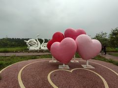 -东郊湿地公园