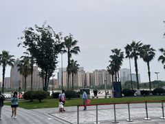-鲨鱼菲特(金沙湖店)