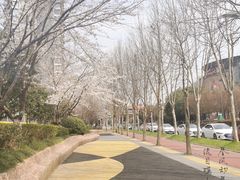 -砂之船奥莱(南京江宁店)