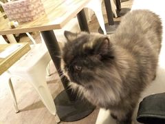 -小时光咖啡馆(开森度假森林店)