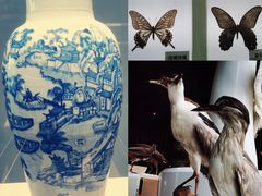 -杭州西湖博物馆总馆