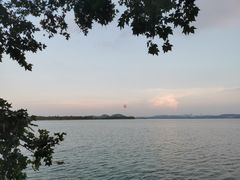 -东湖落雁景区