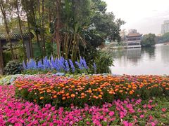 -荔湾湖公园