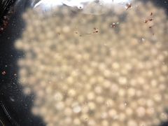 -协和菜馆(凤凰街店)