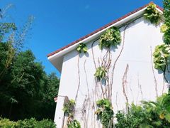 -厦门日月谷温泉渡假村