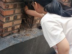 -西部长青自然儿童乐园