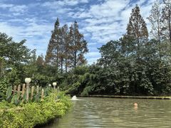 -上海野生动物园