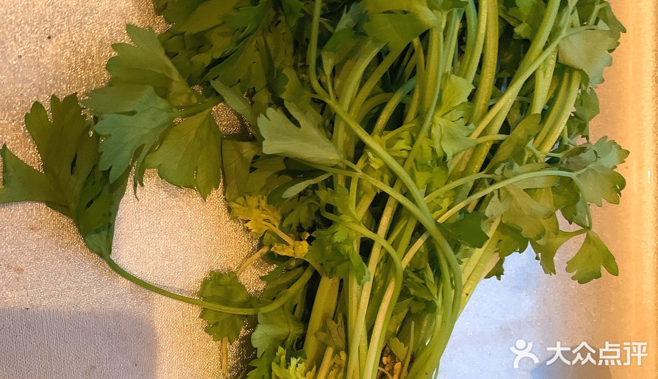 夏天到了，多吃芹菜有益身体健康哦~
