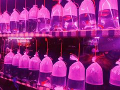 -华声天桥民俗文化园