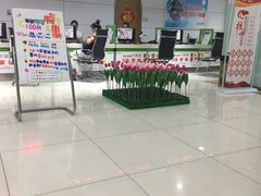 -中国电信(解放三路营业厅)