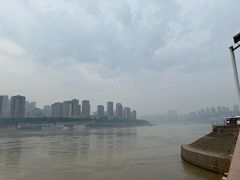 -菜园坝水果市场