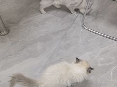 -宠颐生宠物医院·综合诊疗(先锋分院)