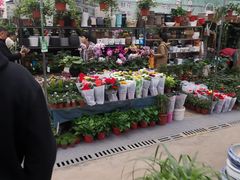 -秦美花卉(天朗·莱茵小城2期店)