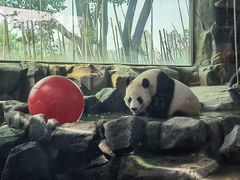 -武汉动物园