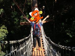 -清迈丛林飞跃 JungleFlight