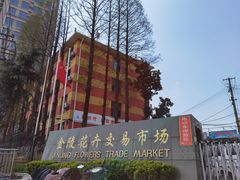 -金陵花卉交易市场