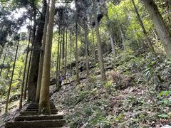 -东天目山风景区