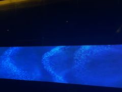 -华夏良子·足道SPA艾灸(金皇大厦店)