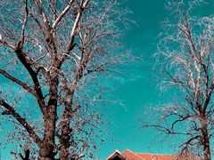 -天津五大道文化旅游区