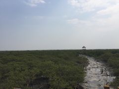 -北海金海湾红树林生态旅游区