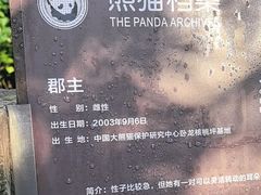 -都江堰中华大熊猫苑