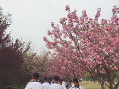 -龙寺生态园
