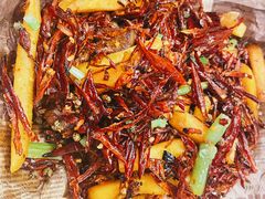 -胡桃里乐队酒馆(长春总店)